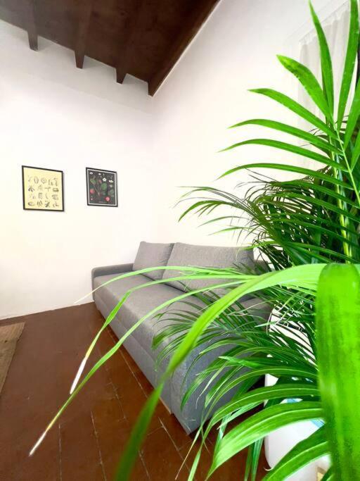 Casa Centro Firenze Wi Fi Aria Condizionata Netflix Apartment Екстериор снимка