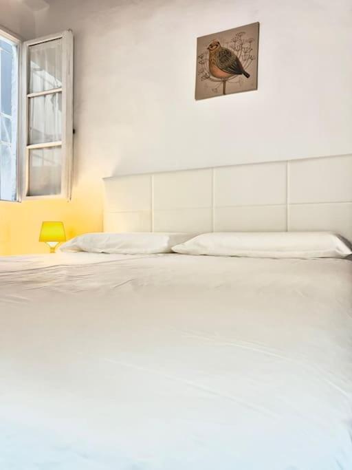 Casa Centro Firenze Wi Fi Aria Condizionata Netflix Apartment Екстериор снимка